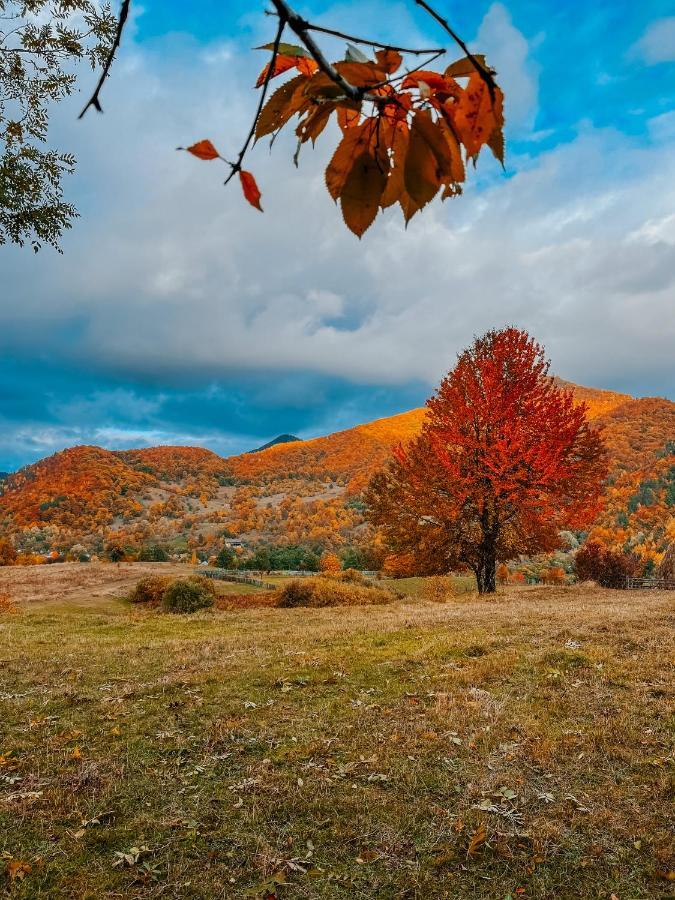 Lodge Roua By Noratlas Heritage - Adults Only Buzau